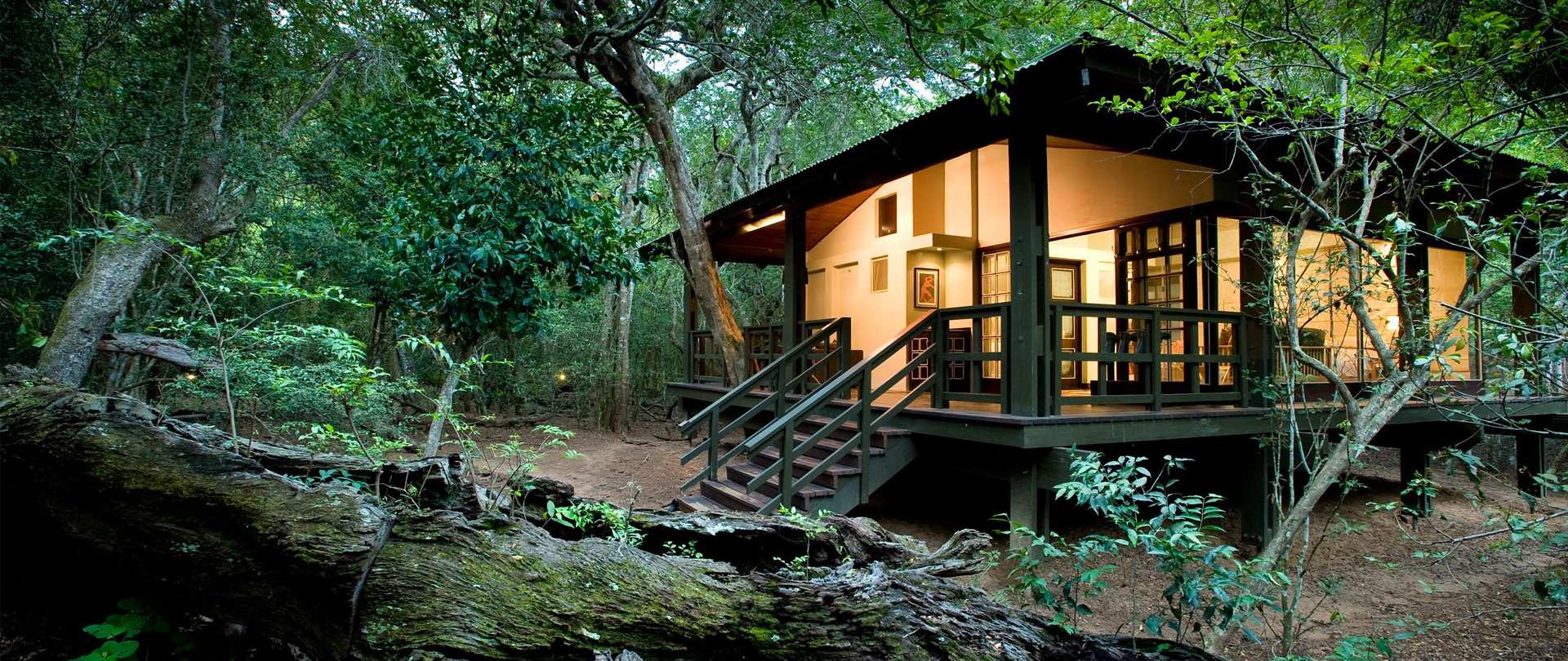 Beyond Phinda Forest Lodge